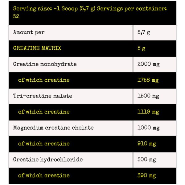 CREATINE SYNTHESIS - Image 2