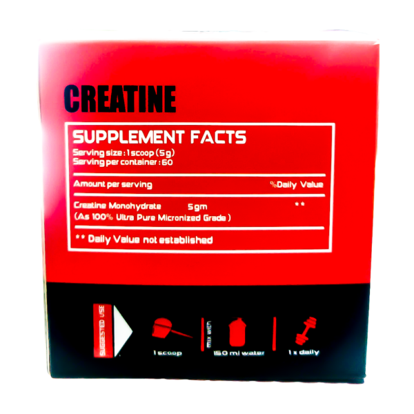 Creatine lions - Image 2