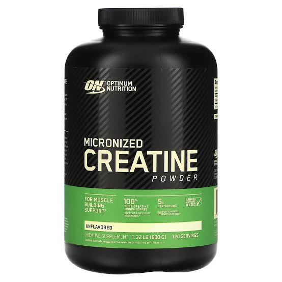 Optimum Nutrition Micronized Creatine Powder 120 serving