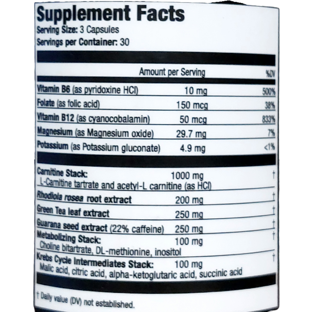 Adobe_Express_20230209_1655210_1