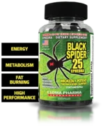 Black Spider