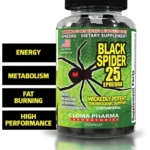 Black Spider