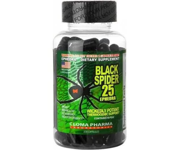 Black Spider